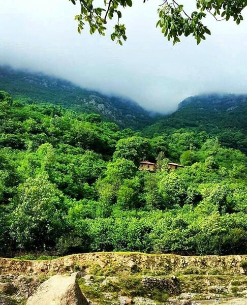عکس طبیعت زیبای رودسر