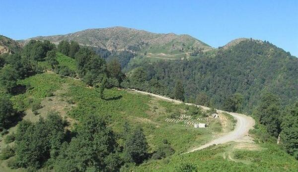 عکس طبیعت زیبای رودسر