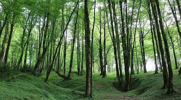 عکس طبیعت زیبای رودسر