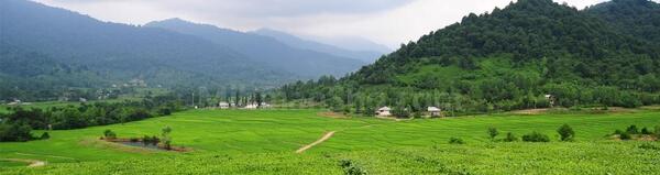 عکس طبیعت زیبای رودسر
