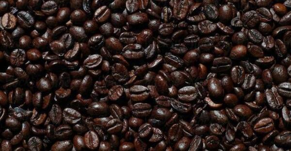 عکس گربه در فال قهوه