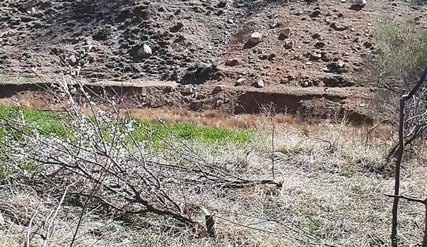 عکس روستای ثمر خزان