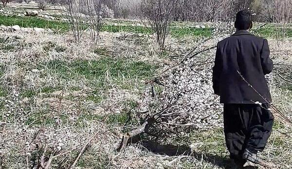عکس روستای ثمر خزان