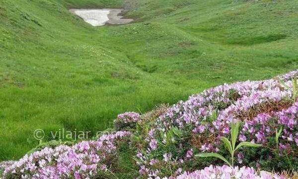 عکس روستای ثمر خزان