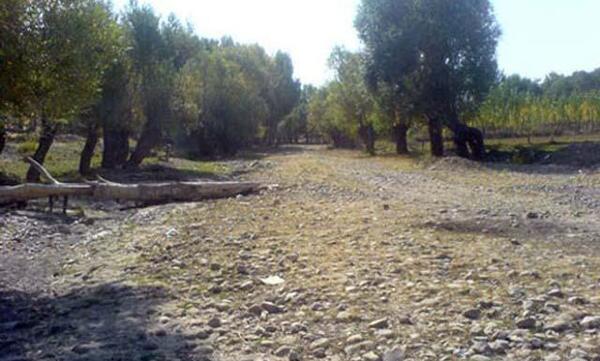 عکس روستای ثمر خزان