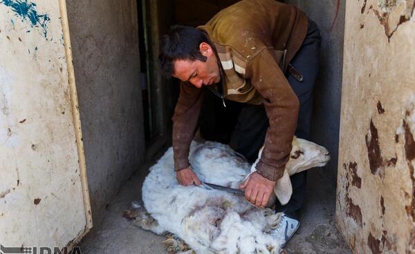 عکس روستای ثمر خزان