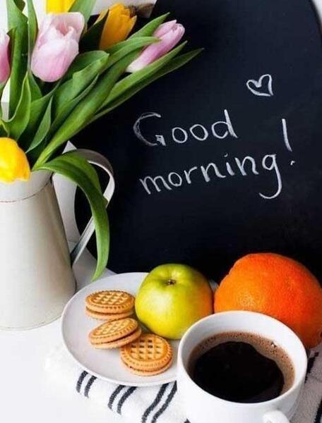عکس استوری صبحگاهی