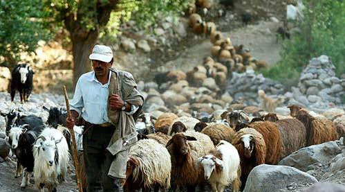 عکس روستای لیقوان