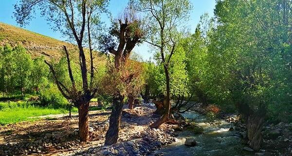 عکس روستای لیقوان