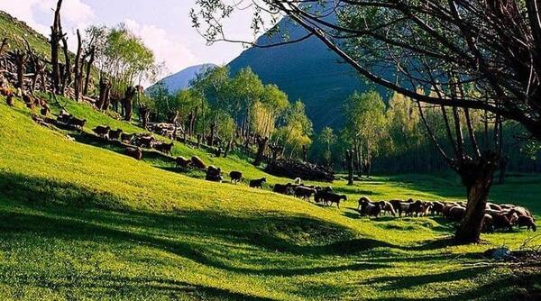 عکس روستای لیقوان