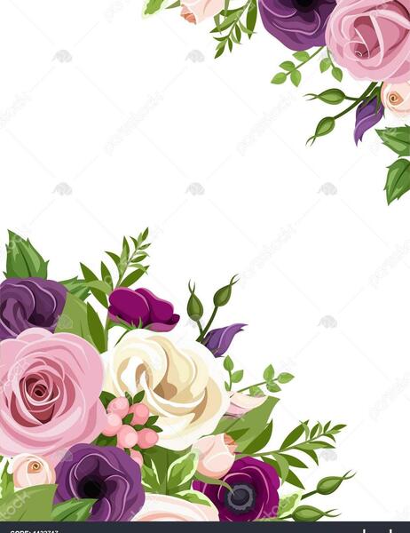 عکس سفید و بنفش