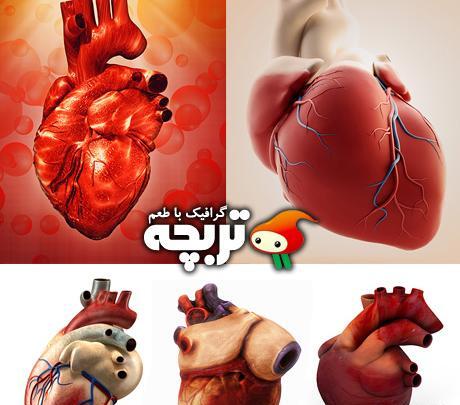 عکس واقعی قلب انسان