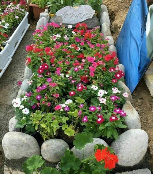 عکس قبر خاکی