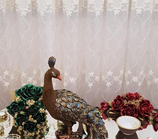 عکس حنای طاووس