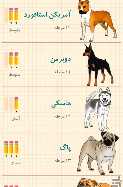 عکس سگ هاسکی و دوبرمن