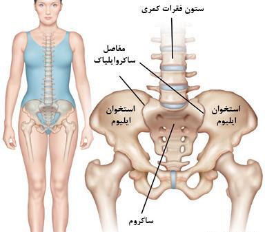 عکس واقعی ستون فقرات