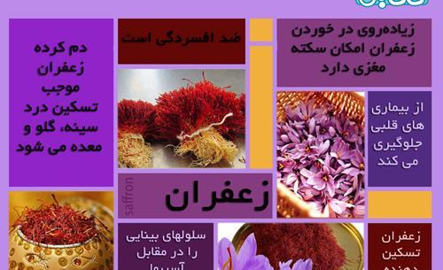 عکس زعفران کوهی