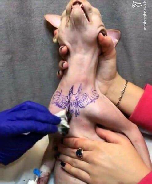 عکس ناخن وحشتناک