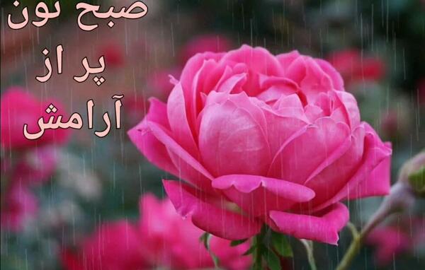 عکس متحرک صبح بخیر زیبا
