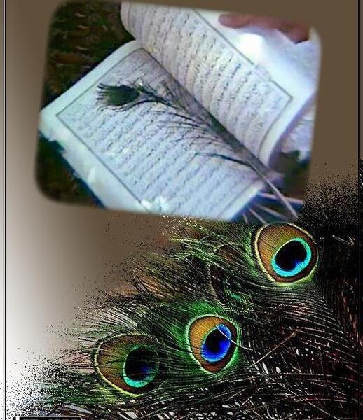 عکس لای قرآن