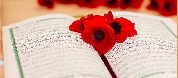 عکس لای قرآن