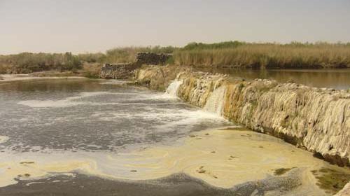 عکس گاوخونی