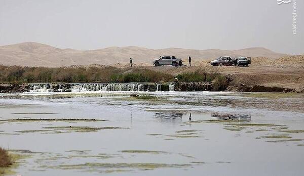 عکس گاوخونی