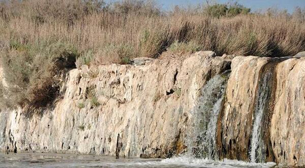 عکس گاوخونی
