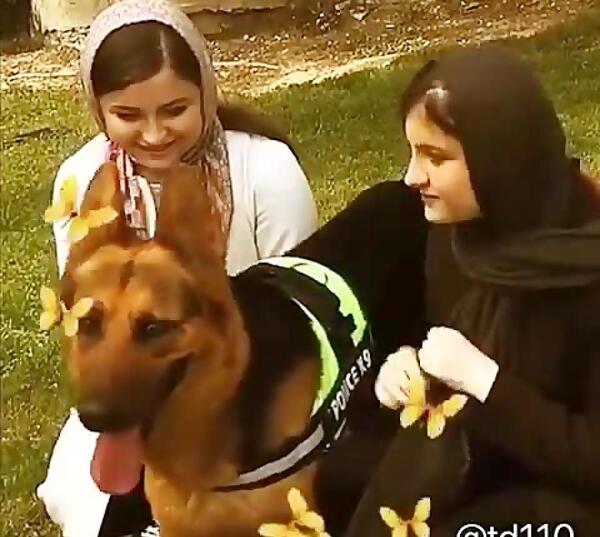عکس سارا و نیکا فرقانی اصل با حیوانات
