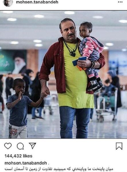 عکس طوطی سارا و نیکا
