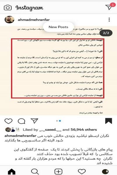 عکس طوطی سارا و نیکا