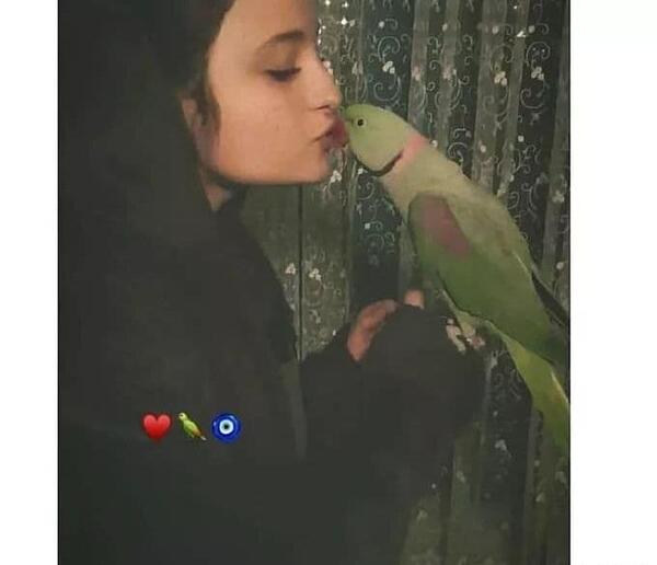 عکس طوطی سارا و نیکا