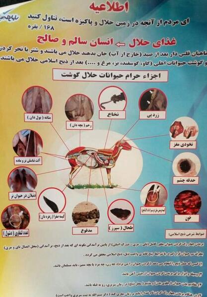 عکس حیوانات حلال گوشت