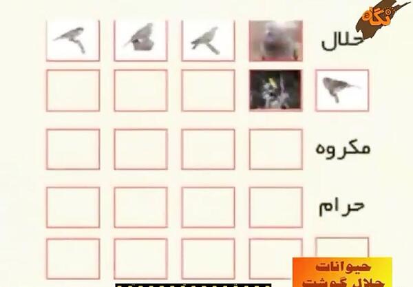 عکس حیوانات حلال گوشت