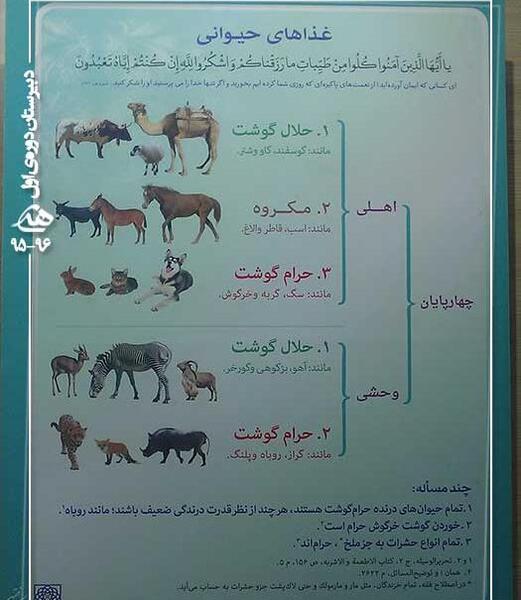 عکس حیوانات حلال گوشت