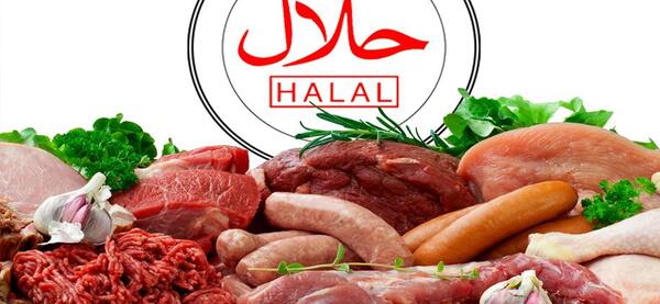 عکس حیوانات حلال گوشت
