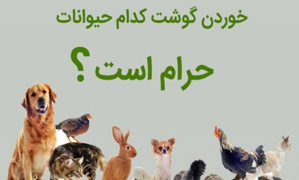 عکس حیوانات حلال گوشت