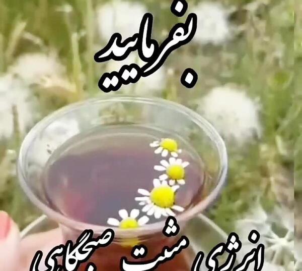 عکس وضعیت واتساپ ظهر بخیر