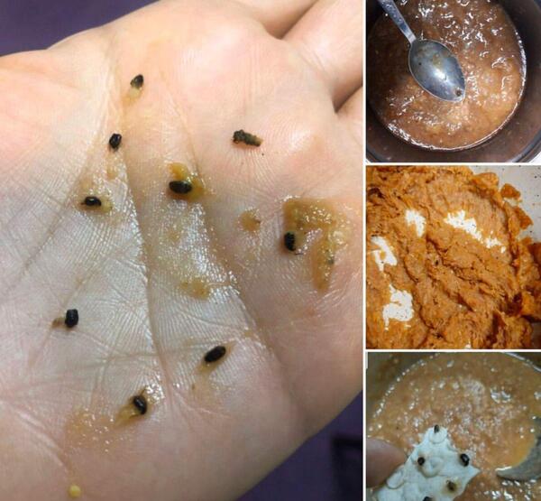 عکس غذای سوسک