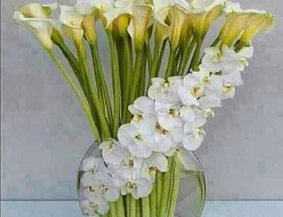 عکس تصویر خسته نباشید