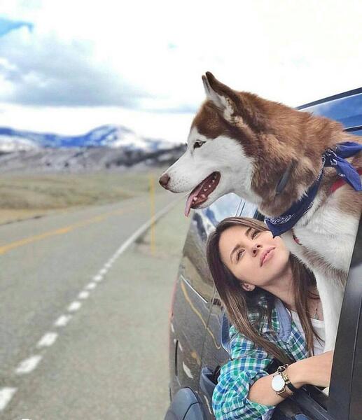 ژست عکس با سگ هاسکی