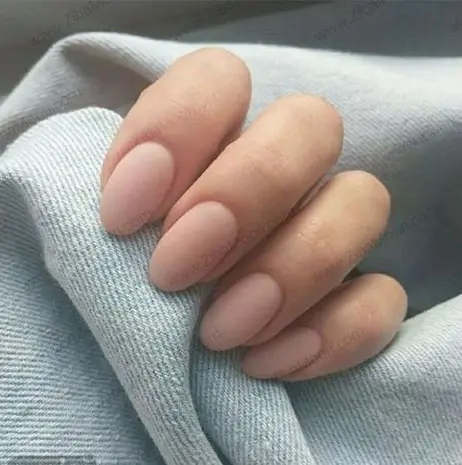 عکس کاشت هلویی