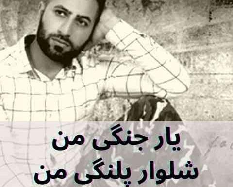 عکس وحید مرادی شلوار پلنگی