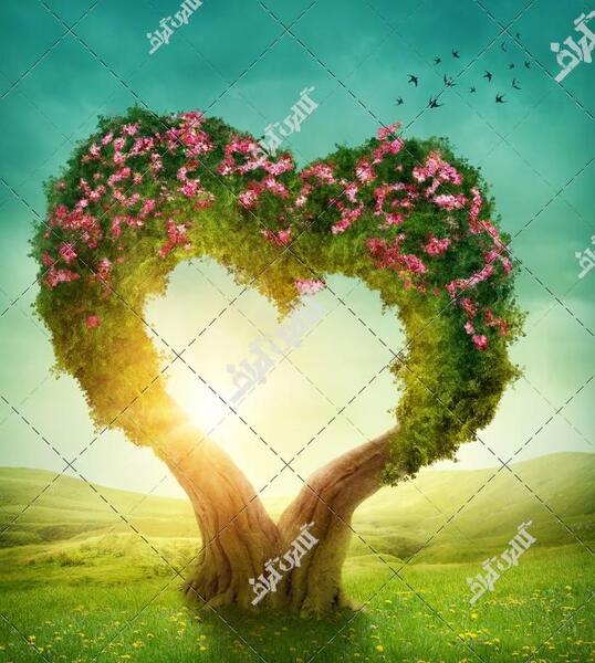 عکس قلب رنگی عاشقانه