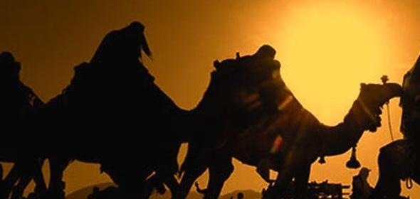 عکس شتر امام حسین