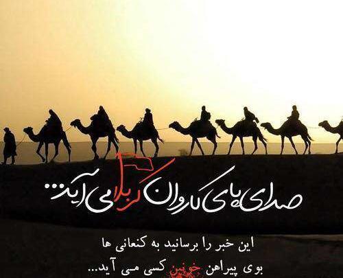 عکس شتر امام حسین