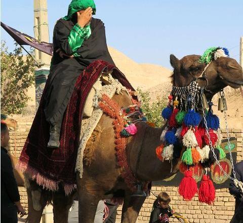 عکس شتر امام حسین