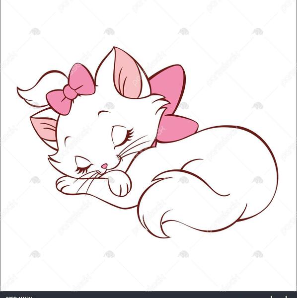 عکس گربه صورتی ملوس