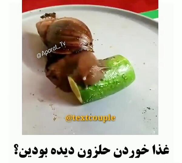 عکس غذای حلزون