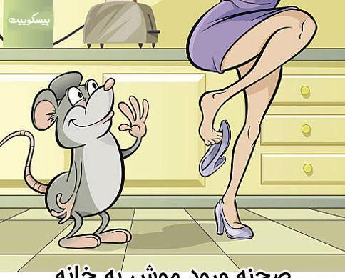 عکس ضرب المثل عقلش به چشمش است